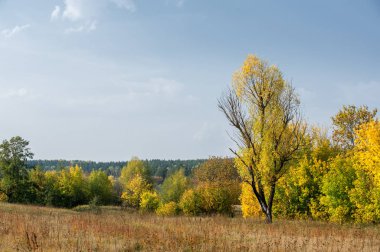 Sonbahar, Güz, yaprak sonbahar, sonbahar yaprak