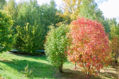 Sonbahar için harika bir zaman