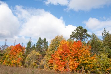 Sonbahar için harika bir zaman