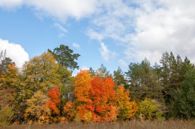 Sonbahar için harika bir zaman