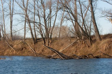 sonbahar park. sonunda geri. 