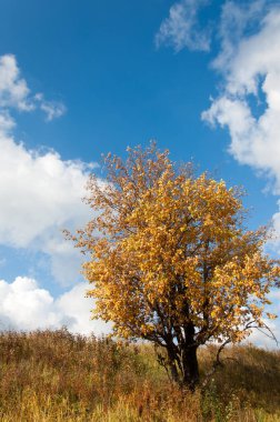 Sonbahar için harika bir zaman