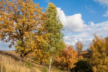 Sonbahar için harika bir zaman