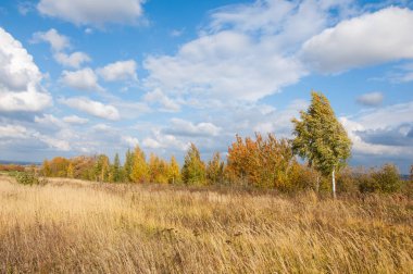 Sonbahar için harika bir zaman