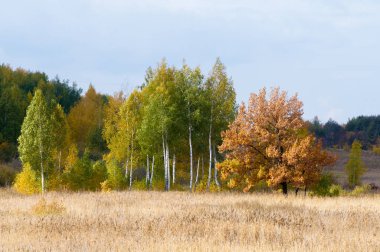 Sonbahar için harika bir zaman