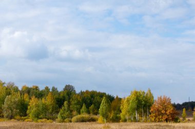 Sonbahar için harika bir zaman