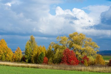 Sonbahar için harika bir zaman