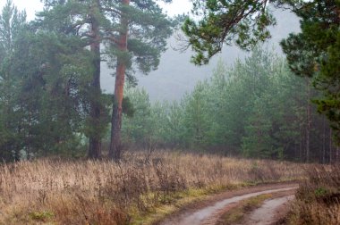 Sonbahar için harika bir zaman