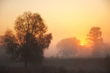 Sonbahar sisi gün doğumu