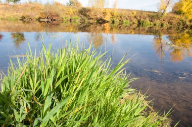 Sonbaharda nehir, yılın altın zamanı.