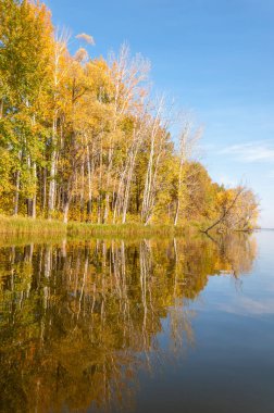 Sonbahar nehri, Sonbahar ağaçları altın içinde