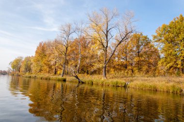 Sonbahar nehri, Sonbahar ağaçları altın içinde