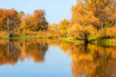 Sonbahar manzarası. Gölün üzerinde güzel bir sonbahar yeşilliği.