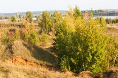 Nehir kenarındaki sonbahar çayırları