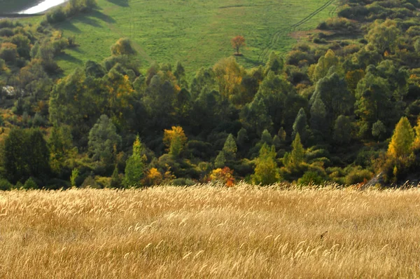 Herfst — Stockfoto