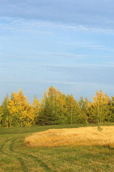 Autumn — Stock Photo, Image