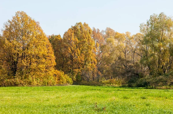秋天的风景 美丽的秋天森林在国家公园 — 图库照片