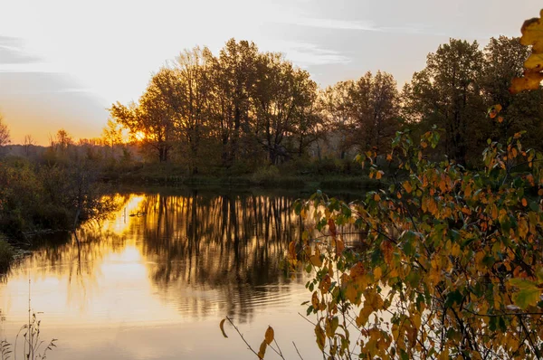 Пейзаж. Закат над озером, падающие деревья отражаются в воде . — стоковое фото