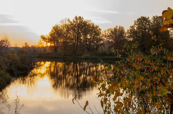 Пейзаж. Закат над озером, падающие деревья отражаются в воде . — стоковое фото