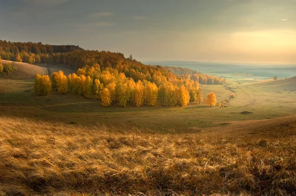 Eine Wunderbare Zeit Zum Fallen Goldene Blätter Warme Tage — Stockfoto