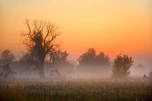 Autumn Mist — Stock Photo, Image