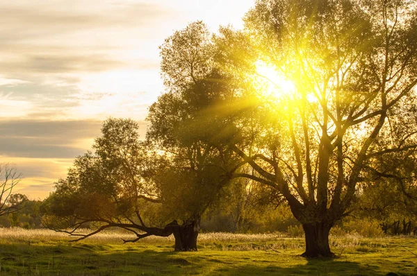 Autumn sunset — Stock Photo, Image