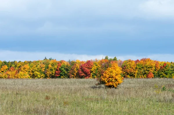 A wonderful time to fall — Stock Photo, Image