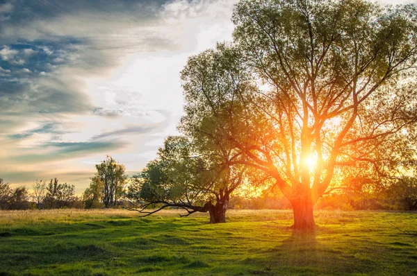 autumn sunset