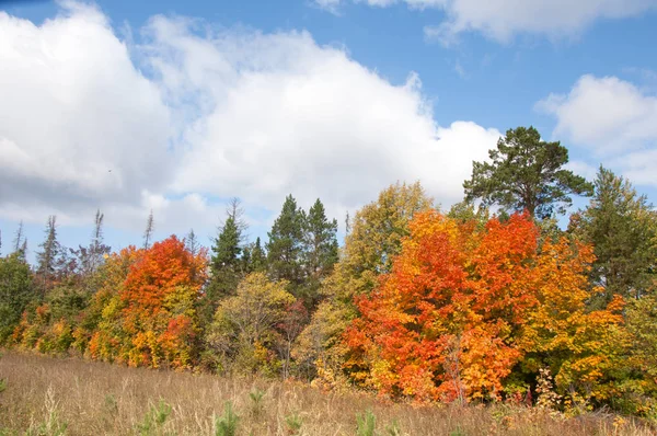 A wonderful time to fall — Stock Photo, Image