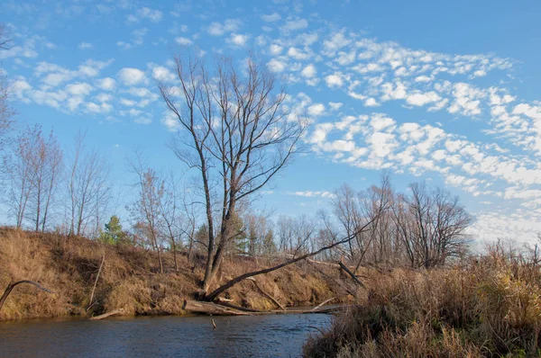 Herfst park. een back-end. — Stockfoto