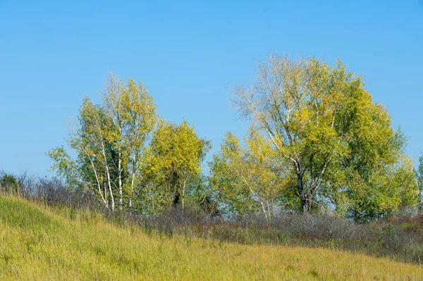 Herfst, herfst, blad daling, daling van het blad — Stockfoto