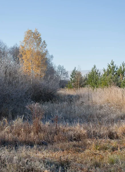 Herfst park. een back-end. — Stockfoto