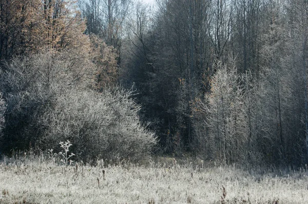 Herbstpark. hinteres Ende. — Stockfoto