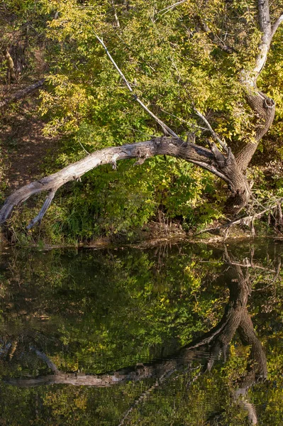 Eine wunderbare Zeit zum Fallen — Stockfoto