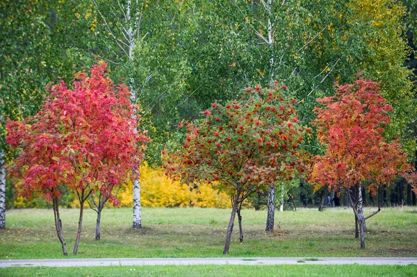 Herbst in der Stadt — Stockfoto