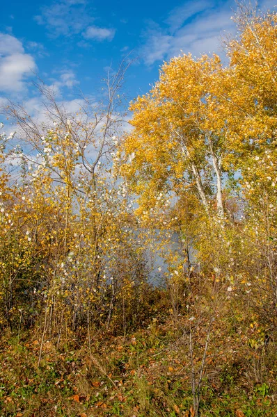 Höst, höst, löv höst, höst av blad — Stockfoto