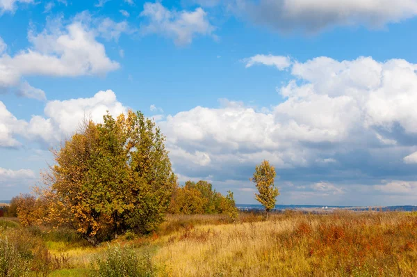 A wonderful time to fall — Stock Photo, Image