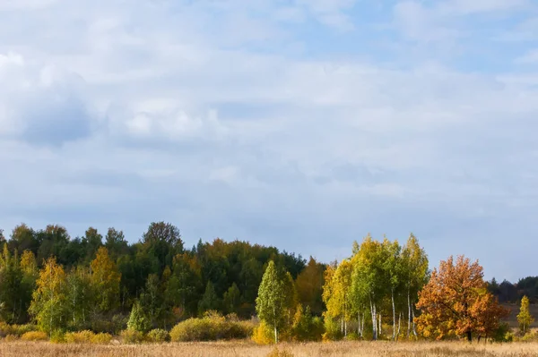 Nádherný čas na podzim — Stock fotografie