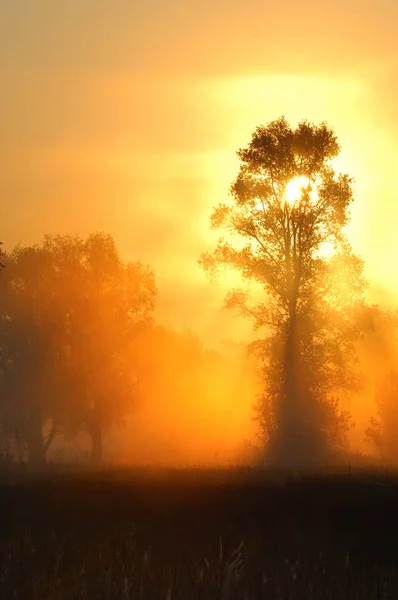 Sonnenaufgang im Herbstnebel — Stockfoto