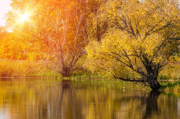 Paesaggio d'autunno. Bella foresta autunnale nel parco nazionale "Così — Foto Stock