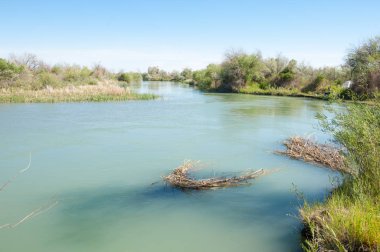 Bozkır nehir sazlık yaz