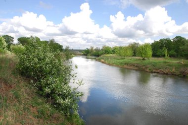 doku, arka plan, el boyaması Çerezler, Lale, söğüt, eski b