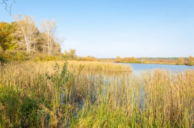 Sonbahar manzarası. Sonbahar Gölü karışık ormanı
