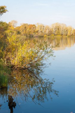 Sonbahar autu su parlak renklerde yansıyan orman karışık