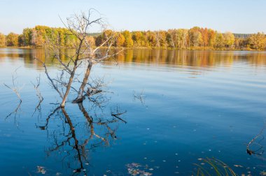 Sonbahar autu su parlak renklerde yansıyan orman karışık