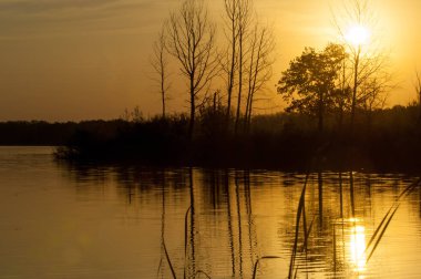  Manzara. Gölün üzerinde gün batımı, suya yansıyan düşen ağaçlar..