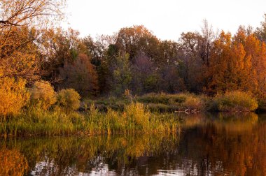  Manzara. Gölün üzerinde gün batımı, suya yansıyan düşen ağaçlar..