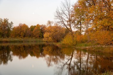  Manzara. Gölün üzerinde gün batımı, suya yansıyan düşen ağaçlar..