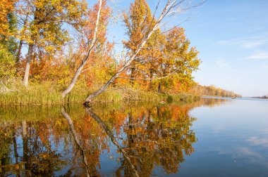 Sonbahar nehri, Sonbahar ağaçları altın içinde