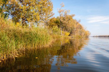 Sonbahar nehri, Sonbahar ağaçları altın içinde